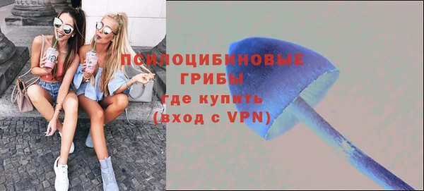 спайс Нея