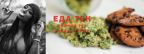 индика Новокубанск