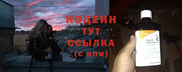индика Новокубанск