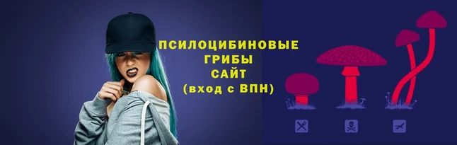 спайс Нея