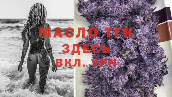 индика Новокубанск