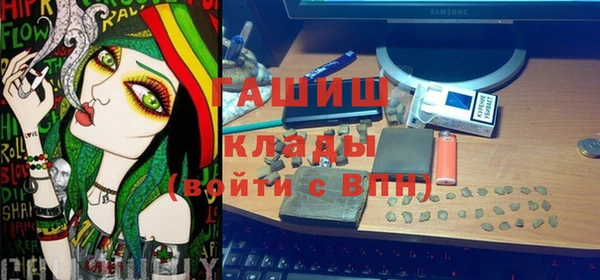 индика Новокубанск