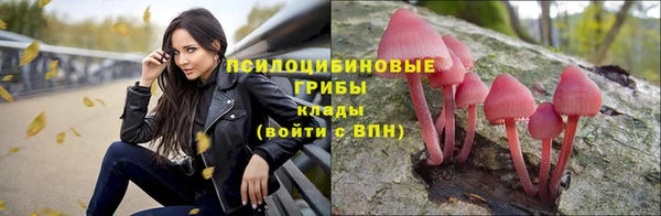 марихуана Новозыбков
